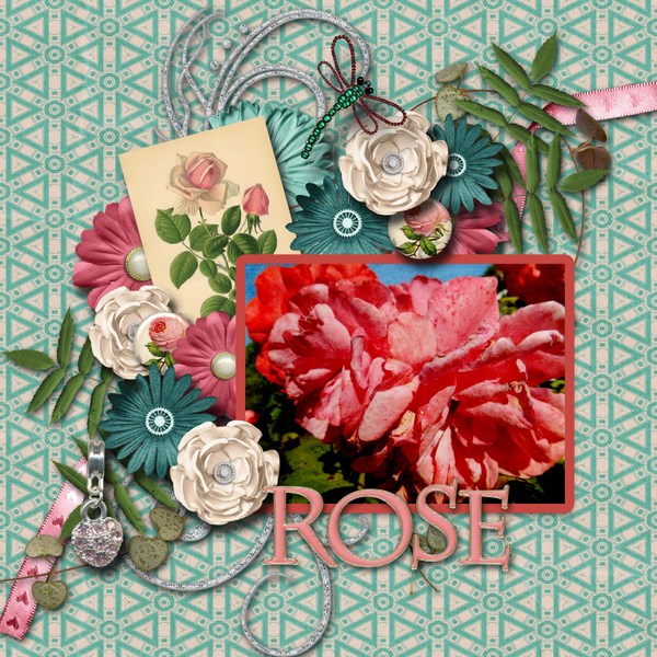 Rose2