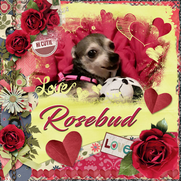 Rosebud Love