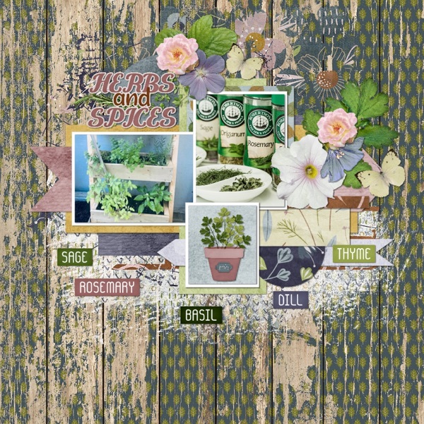 Rosemary + Thyme