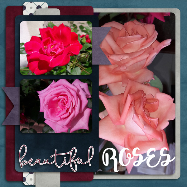 Roses are beautiful