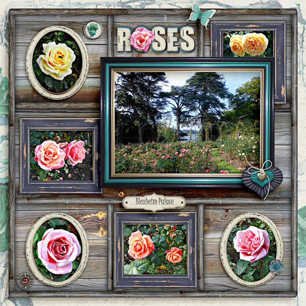 Roses at Blenheim Palace