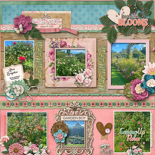 Roses Everywhere