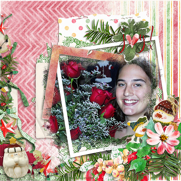 Roses for Christmas