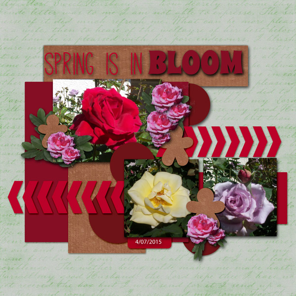 Roses in Bloom