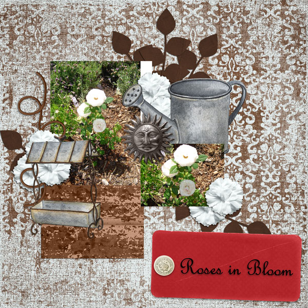 Roses In Bloom