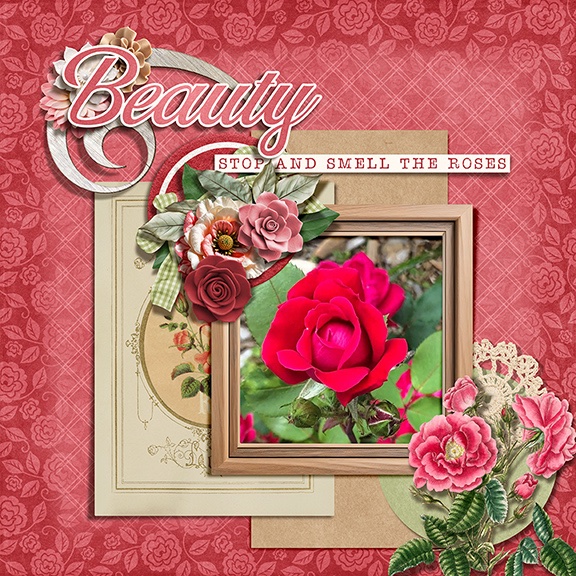 Roses in the Garden
