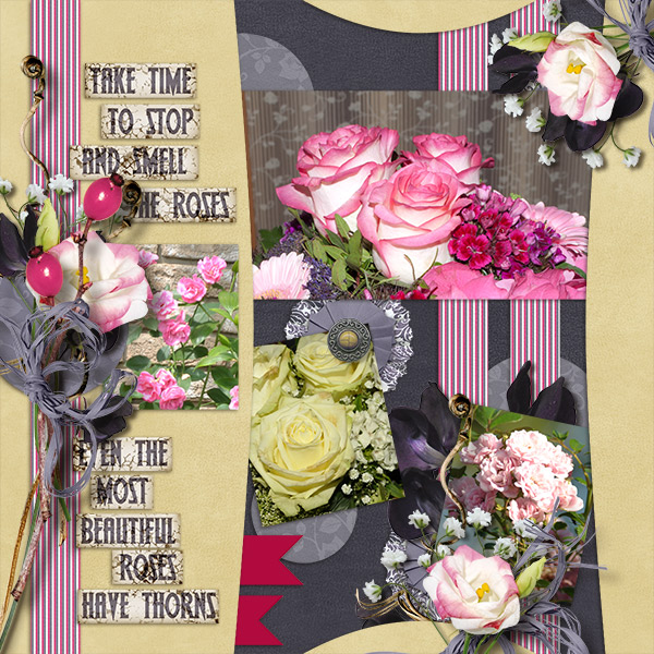 Roses reviewed