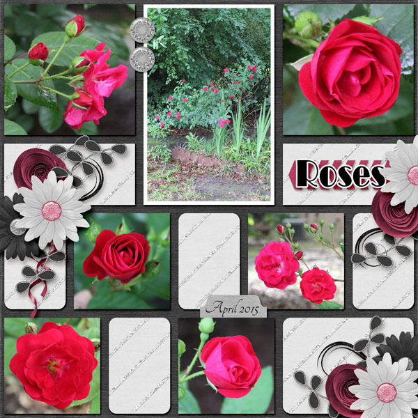 Roses