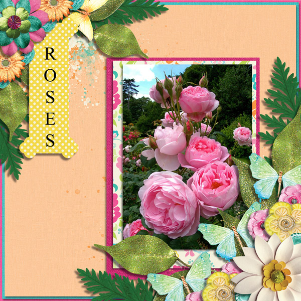 Roses