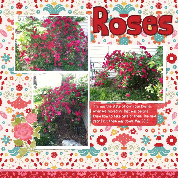 Roses