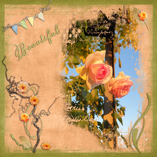 Roses
