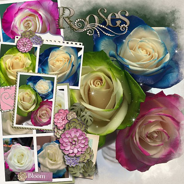 Roses