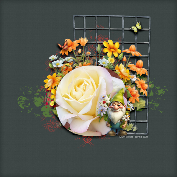 Roses