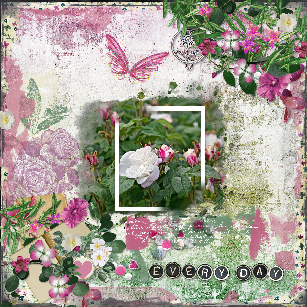 Roses