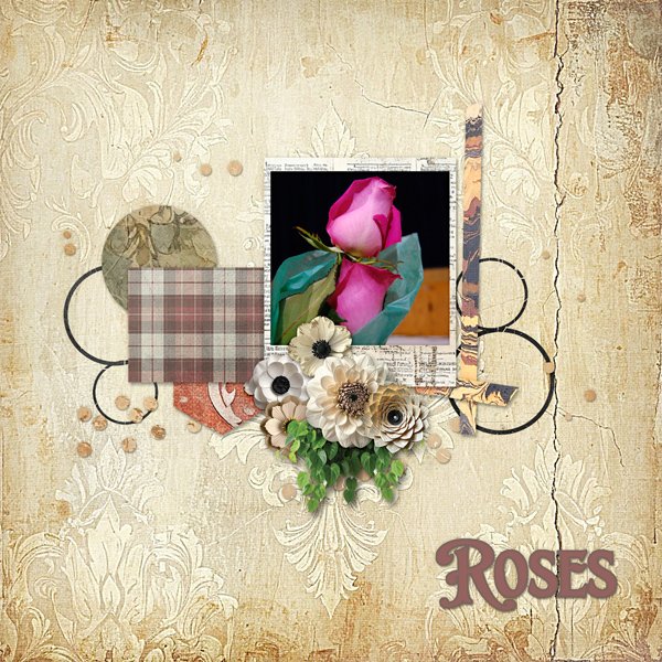 Roses