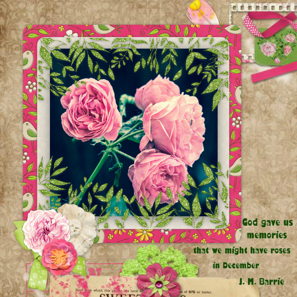 Roses15