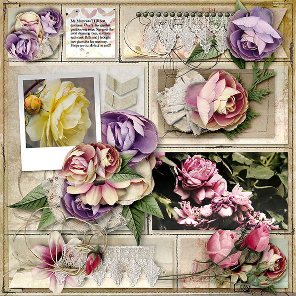 Roses17