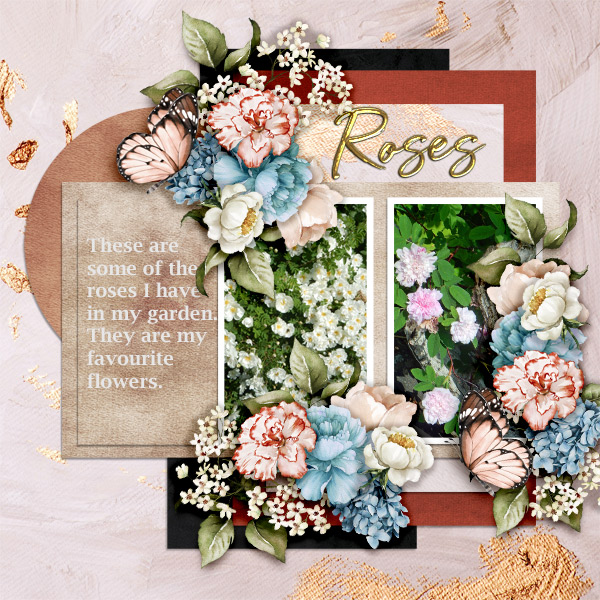 Roses24