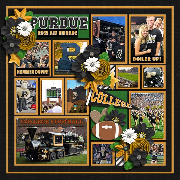 Ross Aid brigade