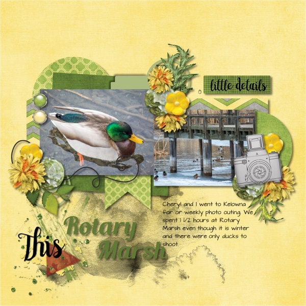 Rotary Marsh