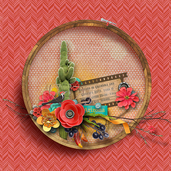 Rotz Cactus