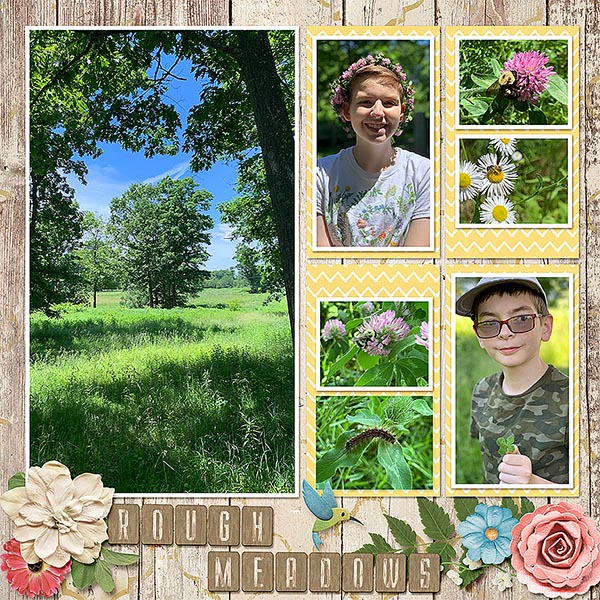 Rough Meadows L