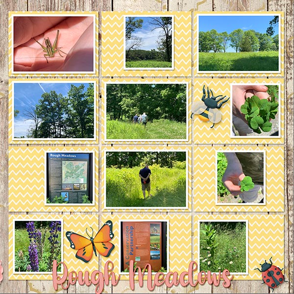 Rough Meadows R