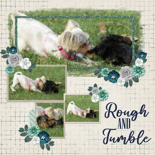 Rough & Tumble
