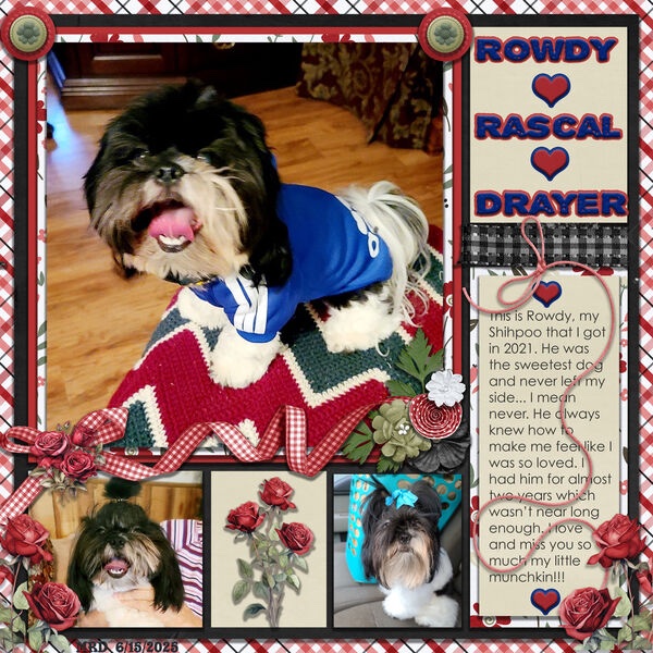 Rowdy 1