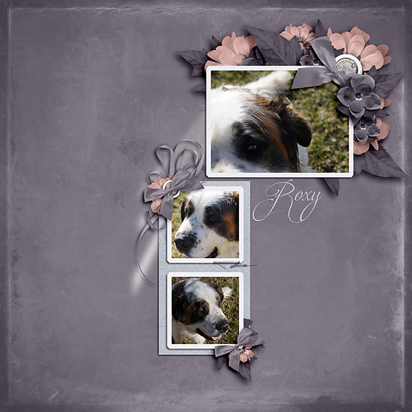 Roxy