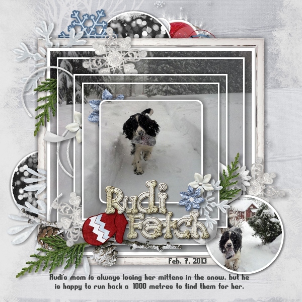 Rudi Fetch