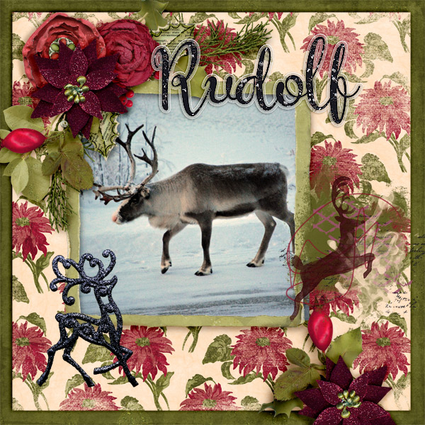 Rudolf2