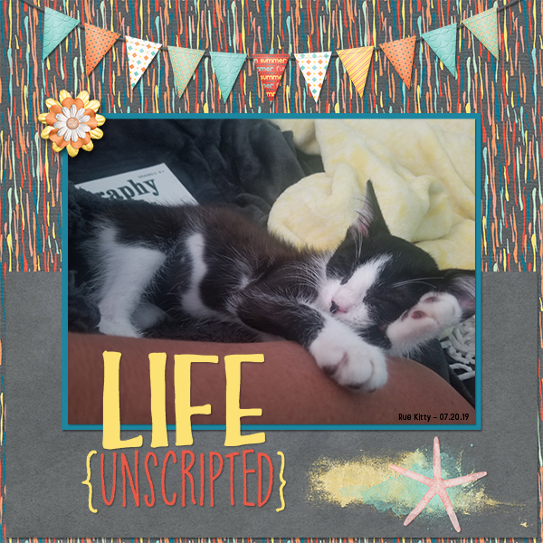 Rue Kitty Unscripted