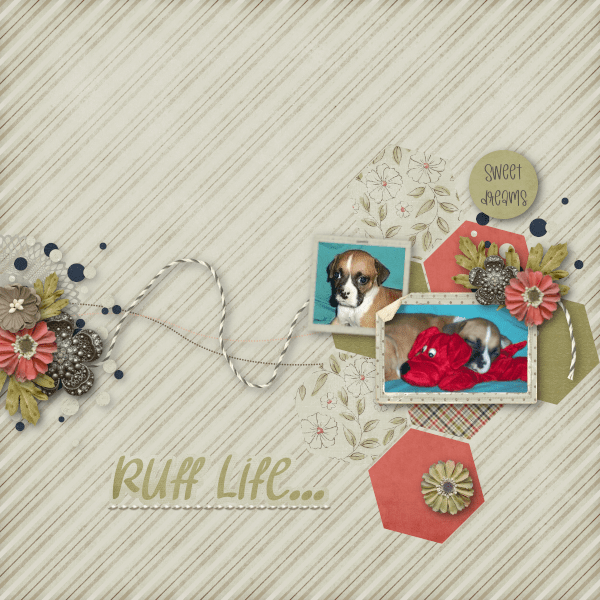 Ruff Life