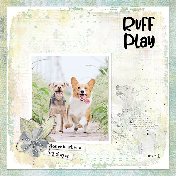 Ruff Play
