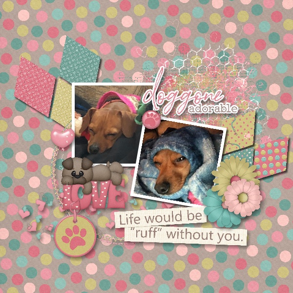 Ruff without you