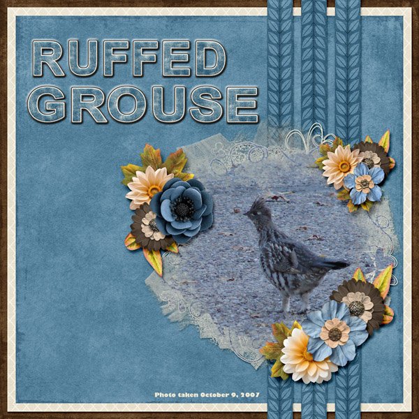 Ruffed Grouse small.jpg