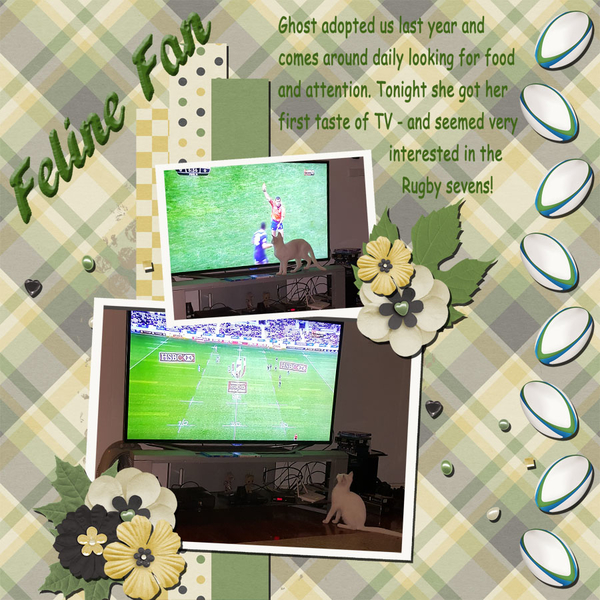 Rugby Fan