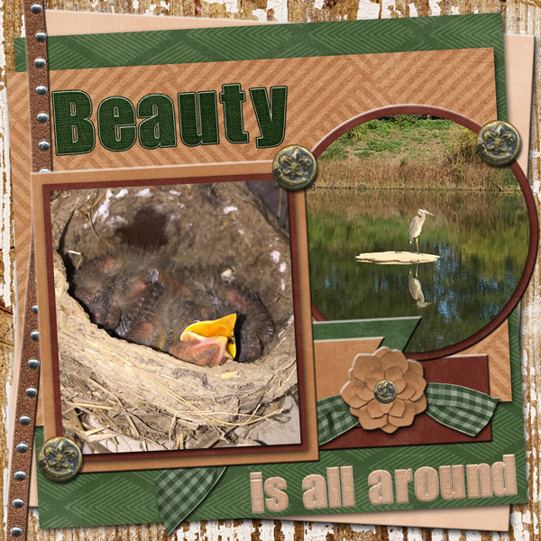Rugged - Beauty Is All Around