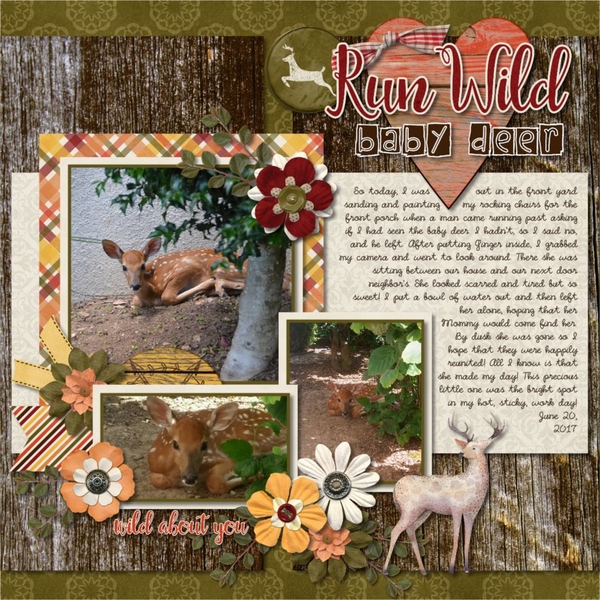 Run Wild baby deer