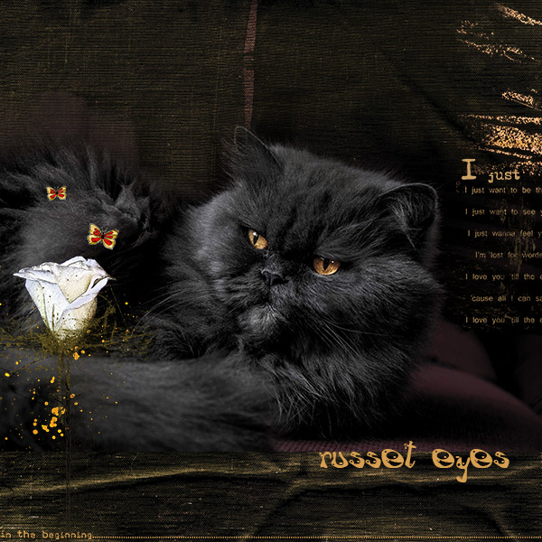 Russet Eyes