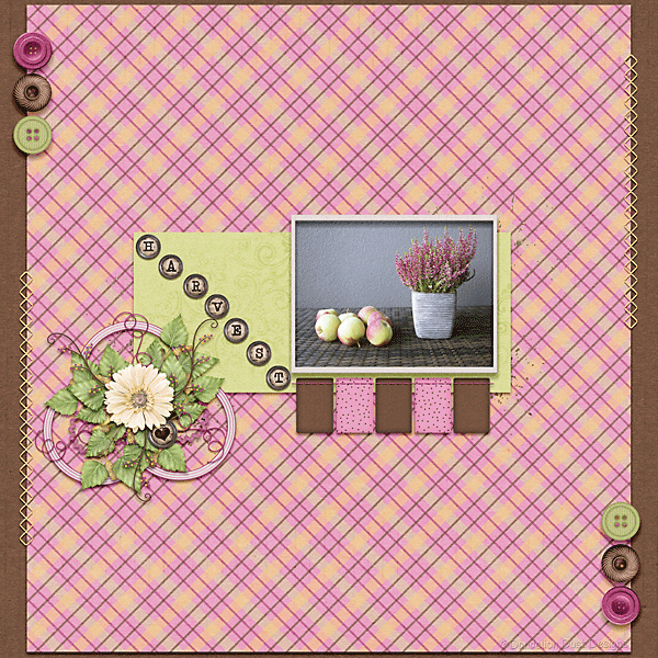 Rustic Autumn