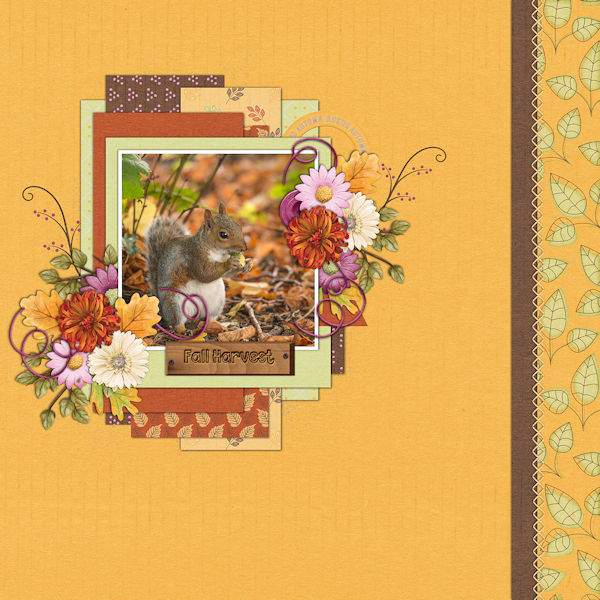 Rustic Autumn