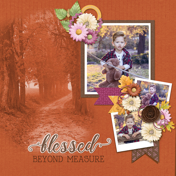 Rustic Autumn