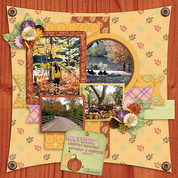 Rustic Autumn