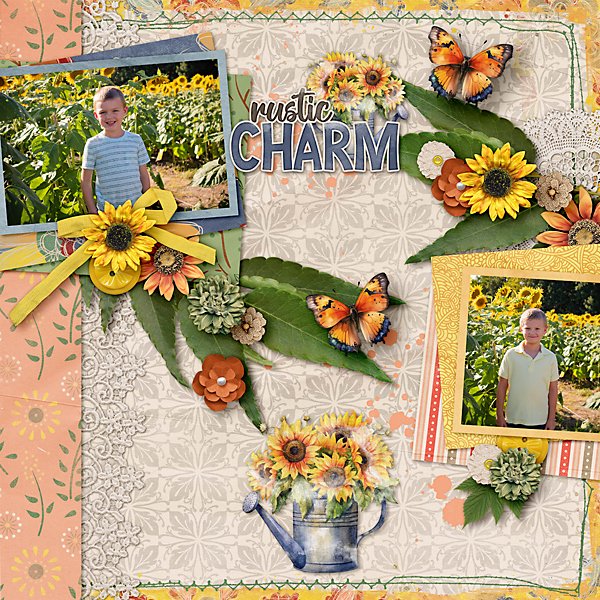 Rustic-Charm-web.jpg