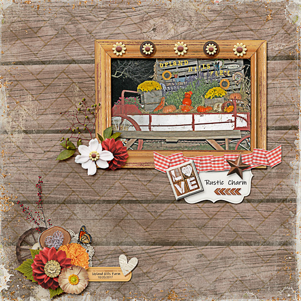 Rustic Charm