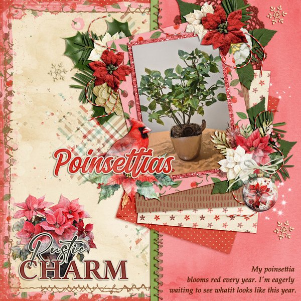 rustic charm