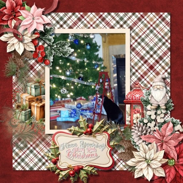 Rustic Holiday