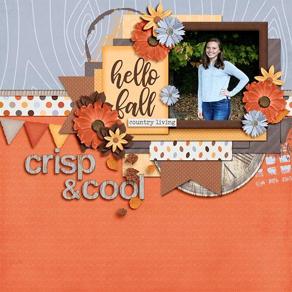 Rustic Life in Color